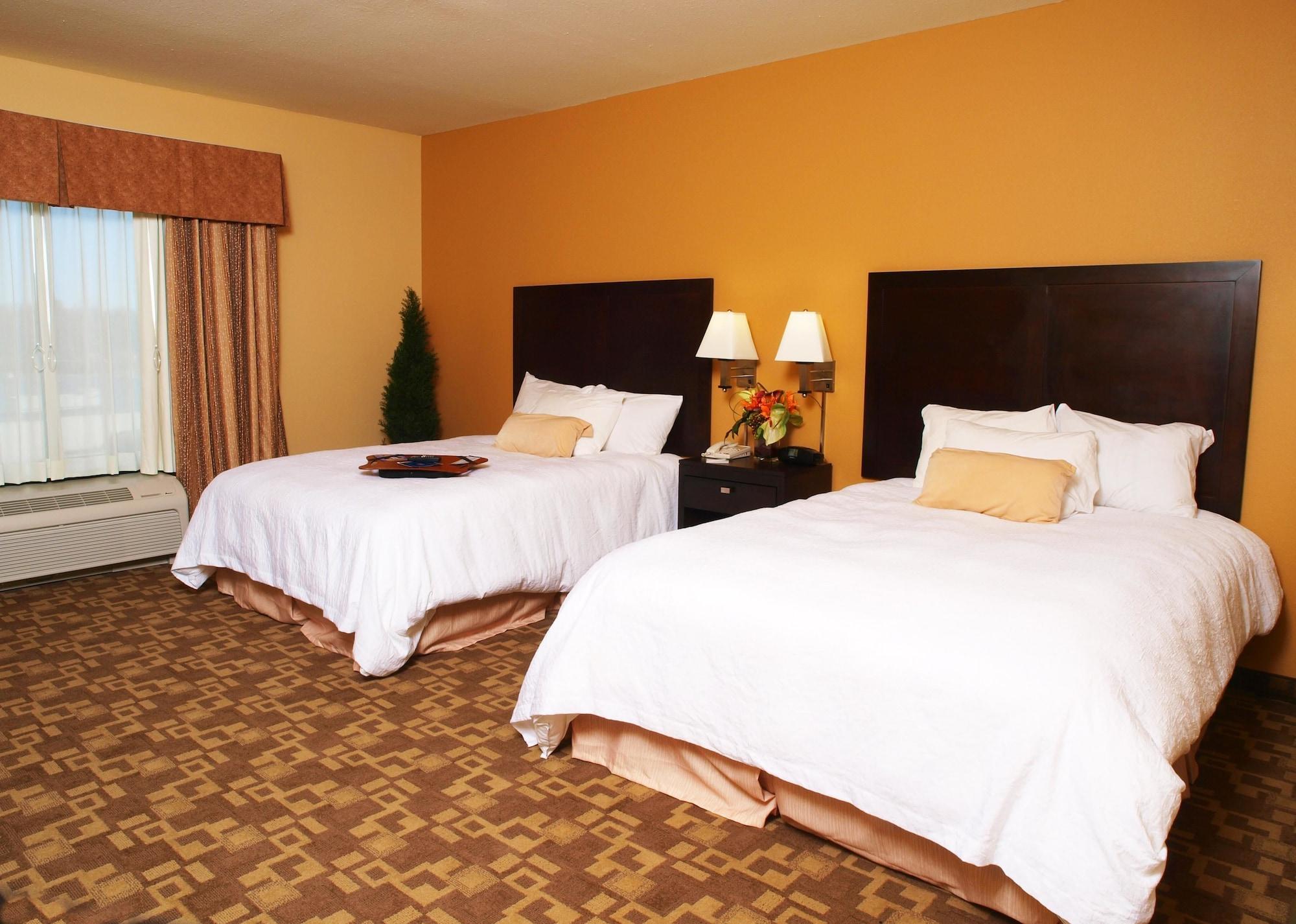 Hampton Inn & Suites-Knoxville/North I-75 Habitación foto
