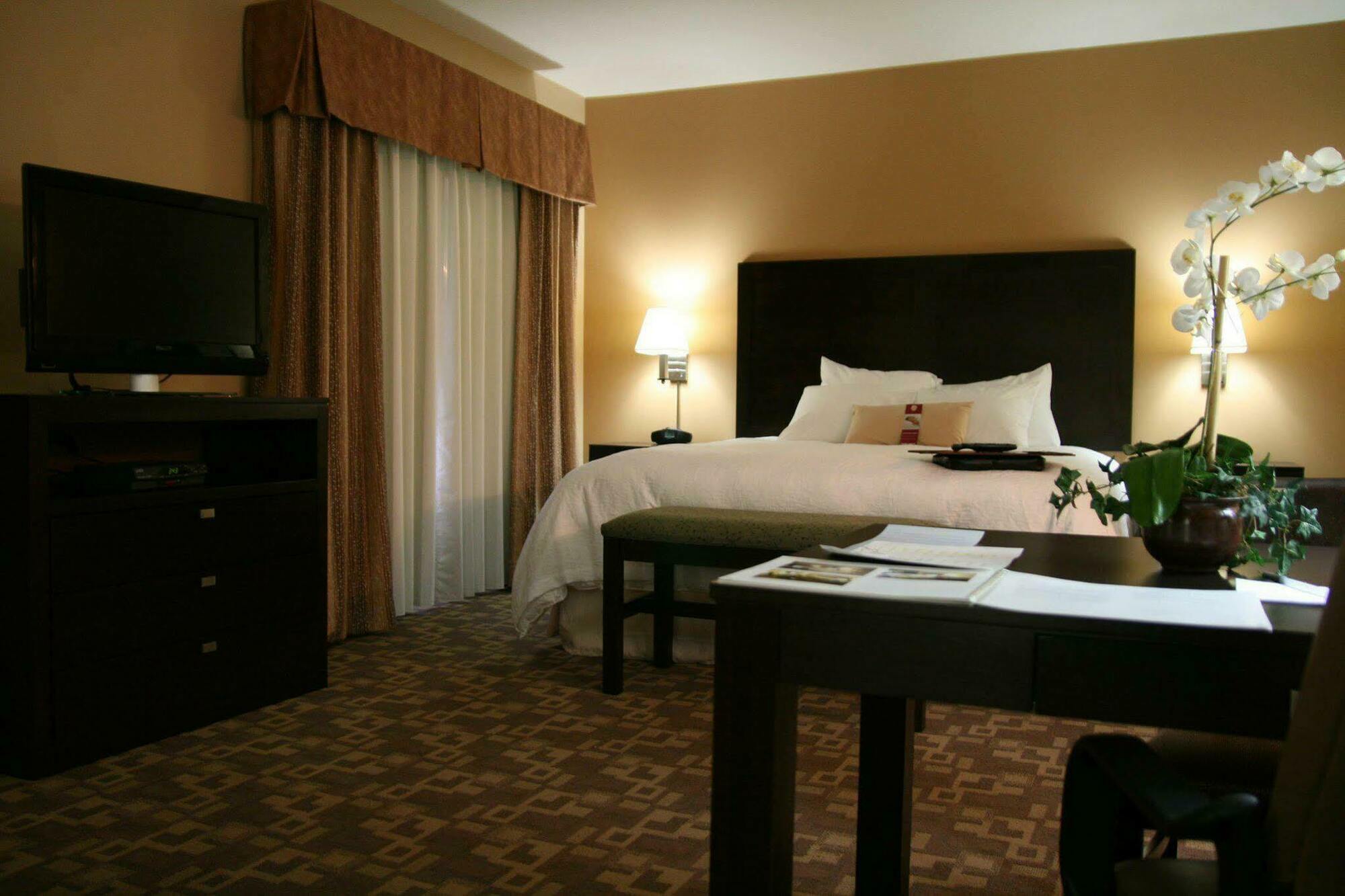 Hampton Inn & Suites-Knoxville/North I-75 Habitación foto